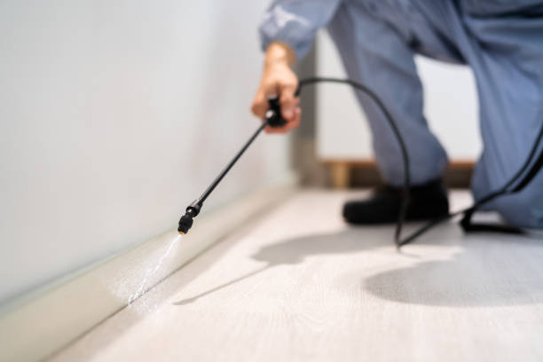 Rodent Entry Point Assessment in Livingston