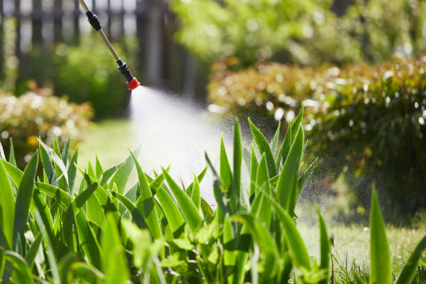 Tamper-Resistant Bait Stations for Rodents in Livingston